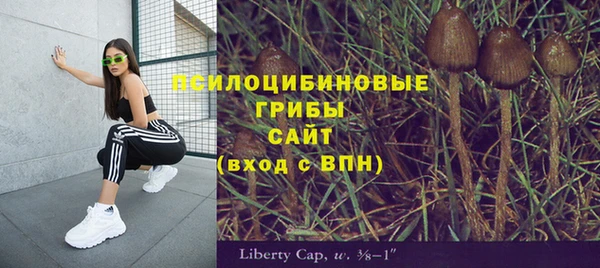 spice Алексеевка
