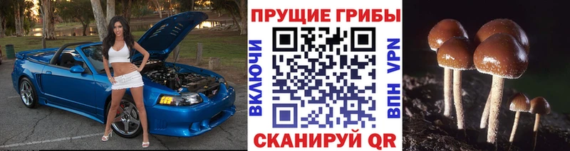 Псилоцибиновые грибы ЛСД  KRAKEN ТОР  Людиново 