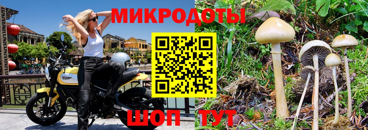 Галлюциногенные грибы Magic Shrooms  Вход с VPN  Галлюциногенные грибы мицелий  Людиново 